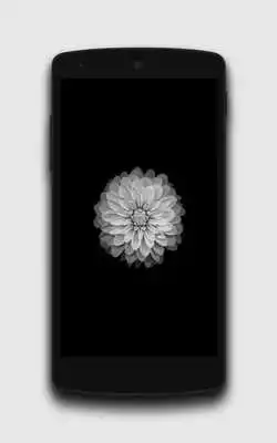 Play Premium Dark AMOLED Wallpapers