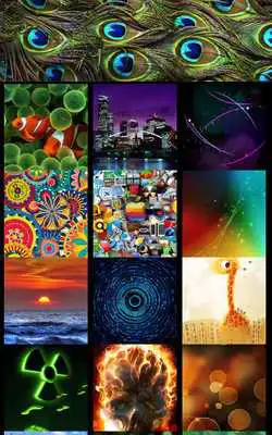 Play Premium Wallpapers HD