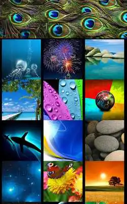 Play Premium Wallpapers HD