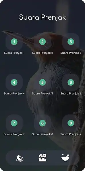 Play Prenjak Gacor Durasi Panjang as an online game online Prenjak Gacor Durasi Panjang with UptoPlay Play Prenjak Gacor Durasi Panjang as an online game Prenjak Gacor Durasi Panjang with UptoPlay