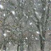 Free play online Preparing For A Winter Storm APK Free play online Preparing For A Winter Storm APK
