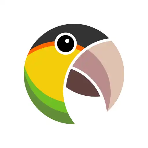 Play Presto Manaus APK