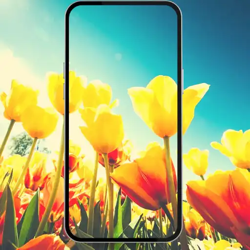 Play Pretty Flowers Images APK