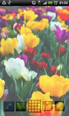 Play pretty flower wallpapers