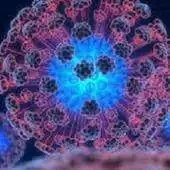 Free play online Prezi 2 kinetic theory gases APK