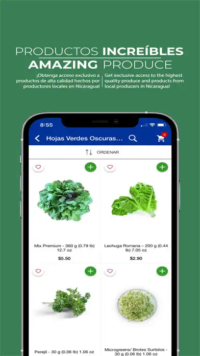 Play PrimaEvo as an online game PrimaEvo with UptoPlay