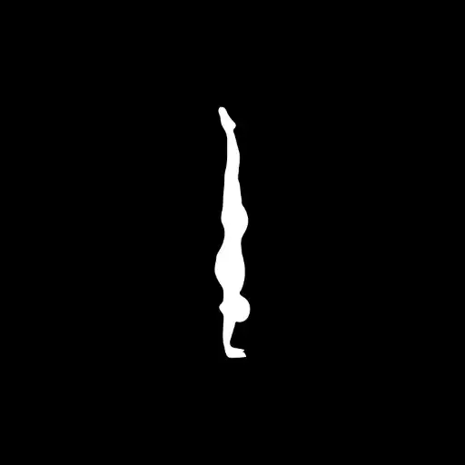Play Primal Moves BCN APK