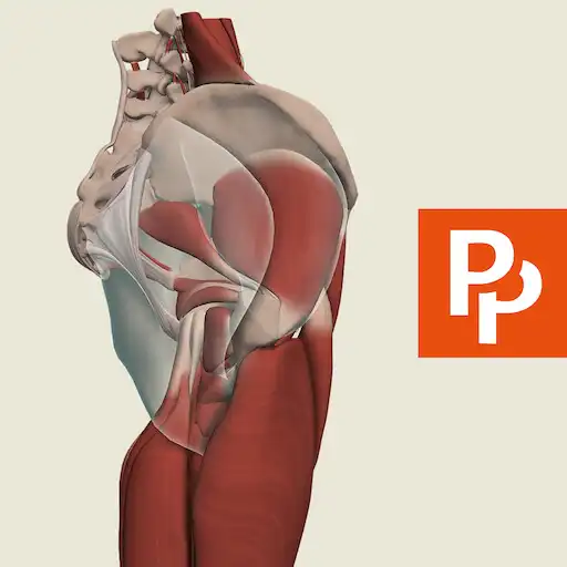 Play Primals 3D Hip APK