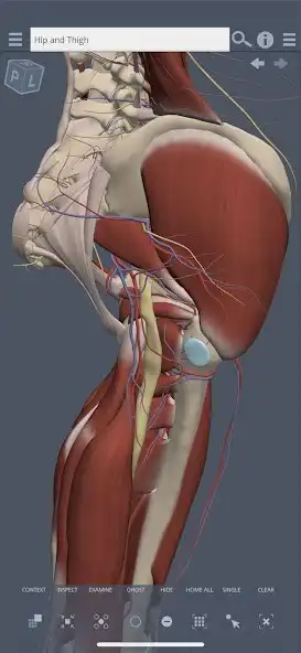 Play Primals 3D Hip  and enjoy Primals 3D Hip with UptoPlay