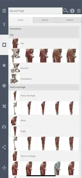 Play Primals 3D Hip as an online game Primals 3D Hip with UptoPlay