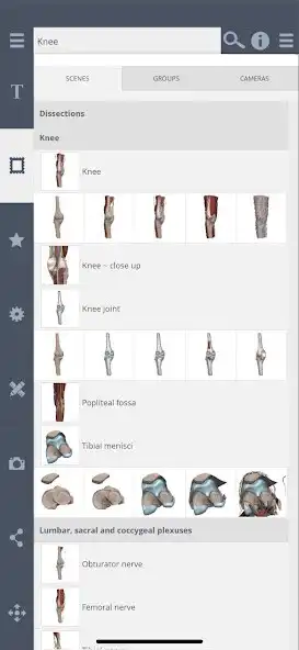 Play Primals 3D Knee as an online game Primals 3D Knee with UptoPlay