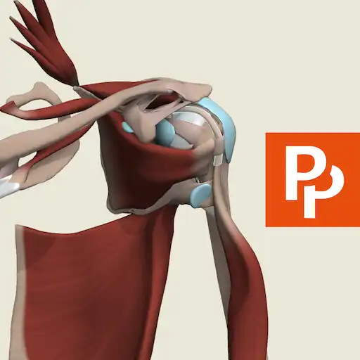 Play Primals 3D Shoulder  Arm APK