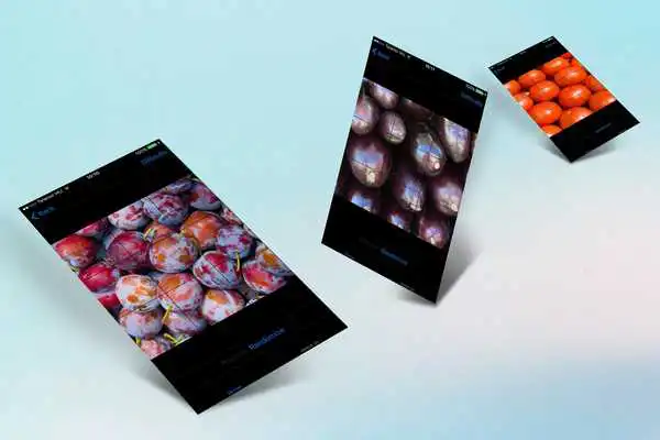 Play Primary Games: Fruit  Veggies