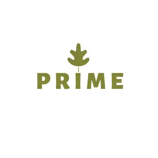 Play Prime APK Play Prime APK