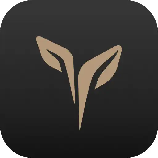 Play Prime Park APK Play Prime Park APK