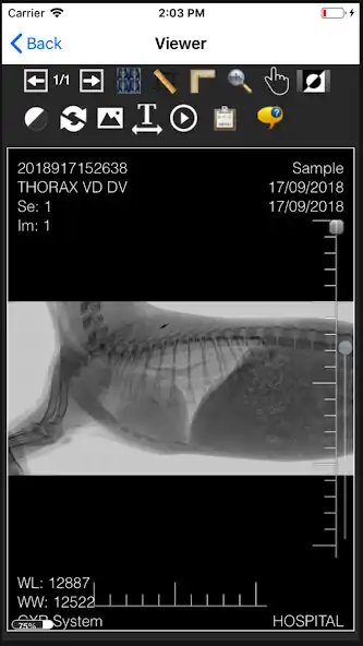 Play Prime VET as an online game Prime VET with UptoPlay