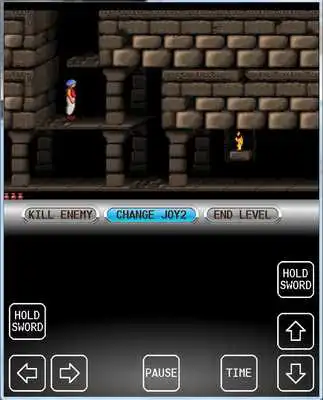 Play Prince Of Persia - Princess Rescue