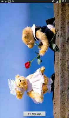 Play Princess bear Play Princess bear