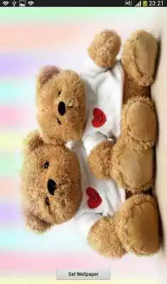 Play Princess bear Play Princess bear