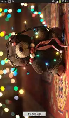 Play Princess bear Play Princess bear