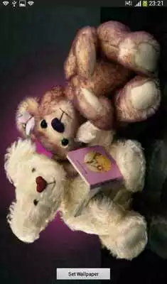 Play Princess bear Play Princess bear