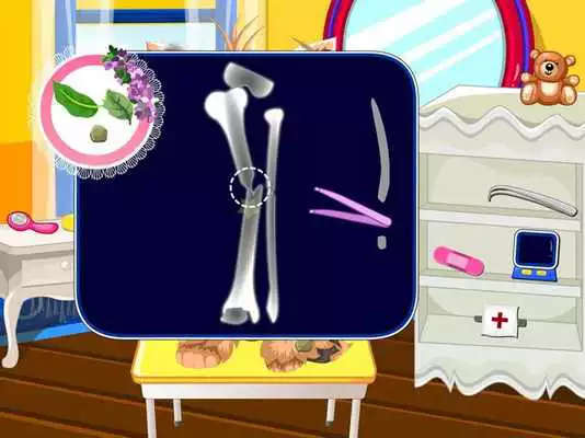 Play Princess Dog Care