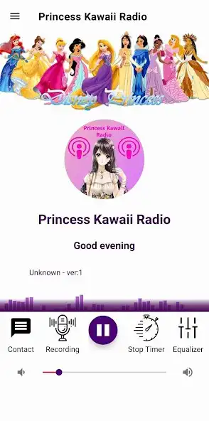 Play Princess Kawaii Radio as an online game Princess Kawaii Radio with UptoPlay