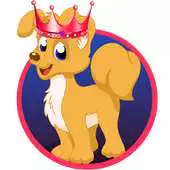 Free play online Princess Pet Salon APK