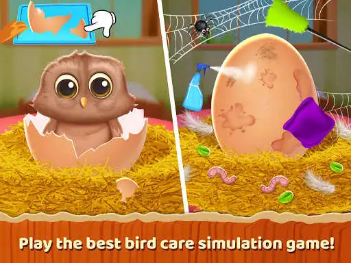 Play Princess Trains her Bird - How to Train a Bird as an online game Princess Trains her Bird - How to Train a Bird with UptoPlay