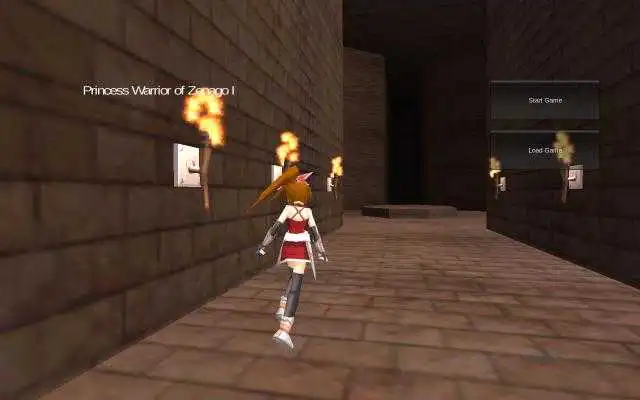 Play Princess Warrior of Zenago I