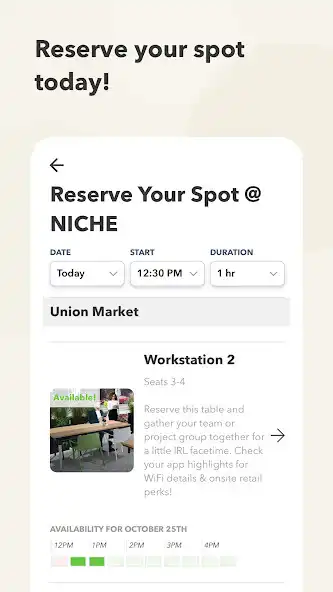 Play Princeton NICHE  and enjoy Princeton NICHE with UptoPlay
