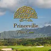 Free play online Princeville Prince Course APK