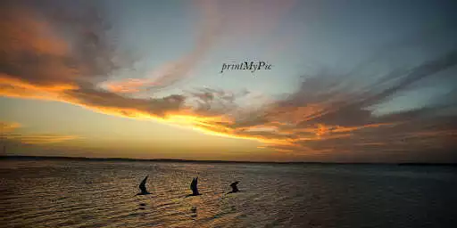 Play printMyPic as an online game printMyPic with UptoPlay
