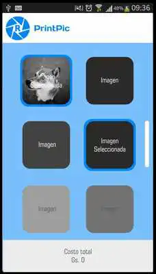 Play PrintPic