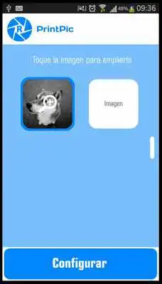 Play PrintPic