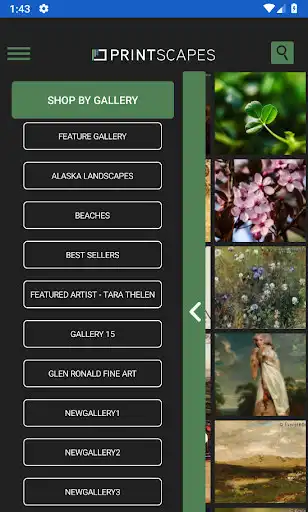 Play Printscapes  and enjoy Printscapes with UptoPlay