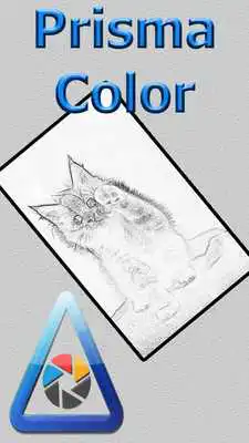 Play Prisma Color Photo Effects