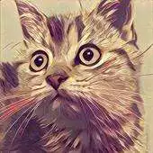 Free play online Prisma Photo Artworks APK