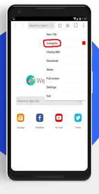 Play Private browser mode :  incognito browser