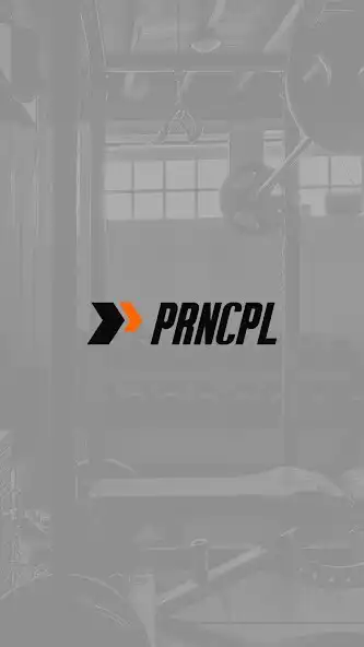 Play PRNCPL  and enjoy PRNCPL with UptoPlay