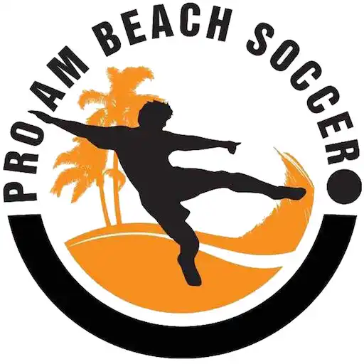 Play Pro-Am Beach Soccer APK Play Pro-Am Beach Soccer APK