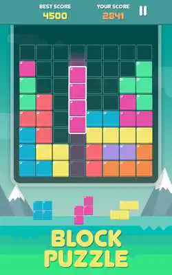 Play Pro Block Puzzles