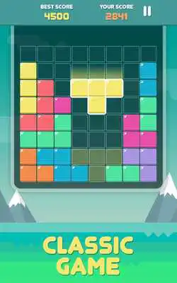 Play Pro Block Puzzles