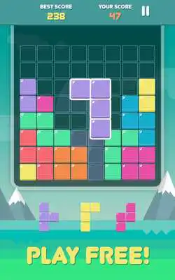 Play Pro Block Puzzles