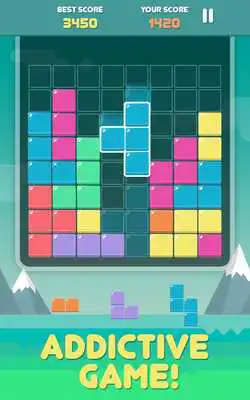 Play Pro Block Puzzles