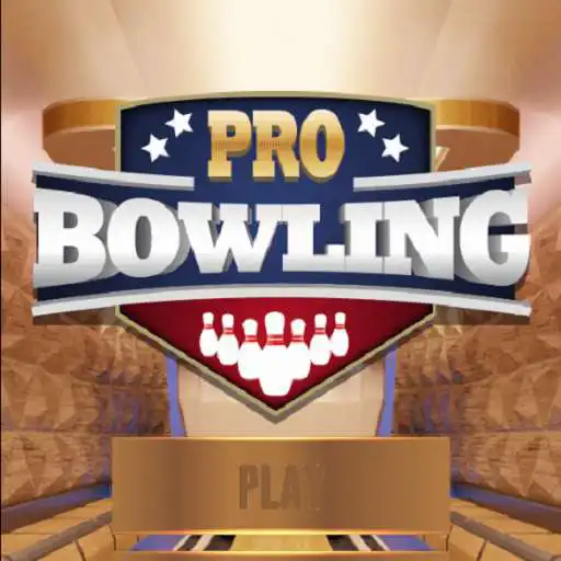 Play Pro Bowling 3D Game APK