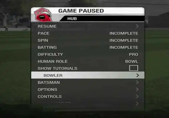 Play Pro Cricket Sport Tips