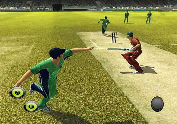 Play Pro Cricket Sport Tips