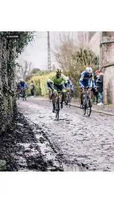 Play Procycling