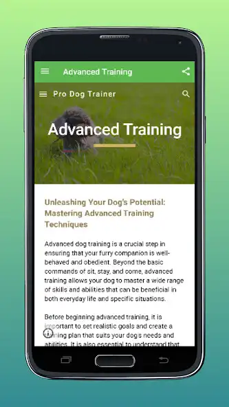 Play Pro Dog Trainer: Train Smarter as an online game online Pro Dog Trainer: Train Smarter with UptoPlay Play Pro Dog Trainer: Train Smarter as an online game Pro Dog Trainer: Train Smarter with UptoPlay